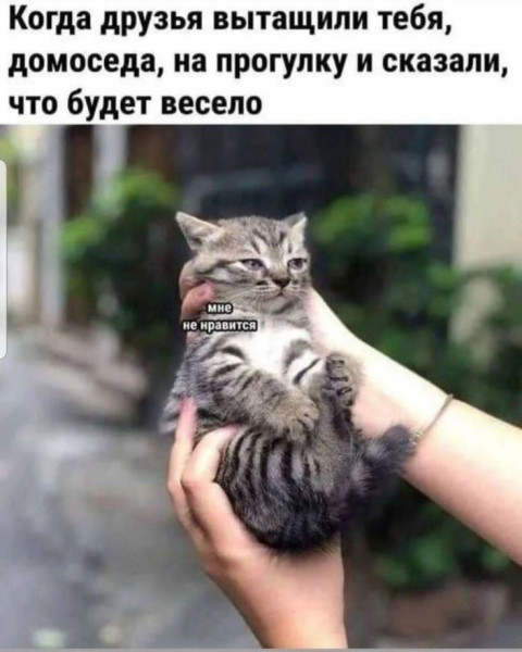 Мем: Юмор, iteam