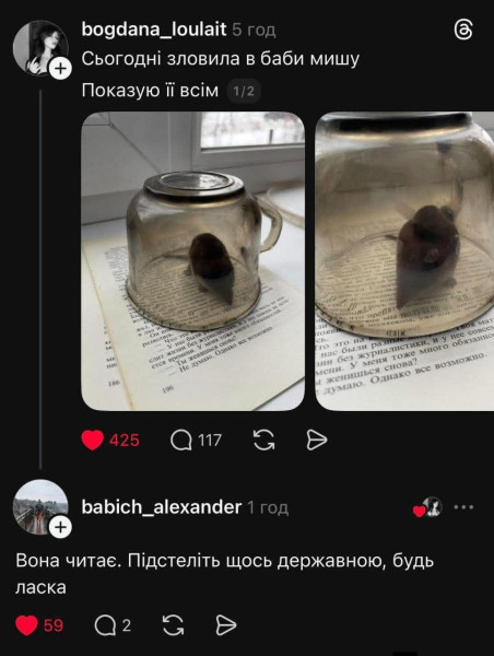 Мем: Их боротьба, Максим Камерер