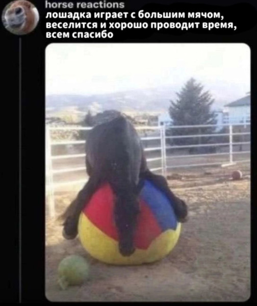 Мем, Смехалка Мем, Смехалка