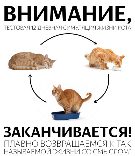 Мем, Максим Камерер Мем, Максим Камерер