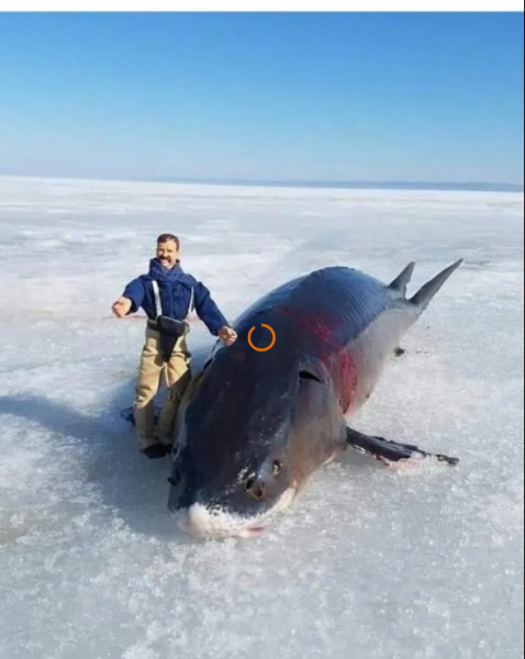 Мем, михельсон Мем, михельсон