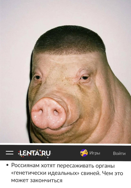 Мем, Vasil Basil Мем, Vasil Basil