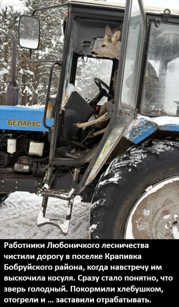 Мем, Смехалка