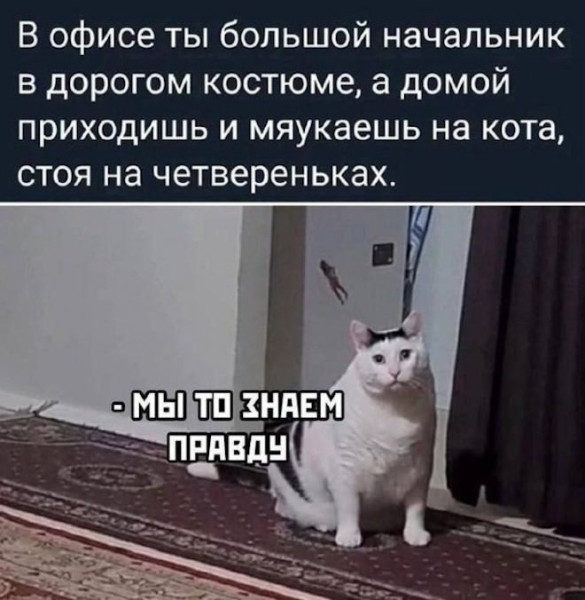 Мем, Смехалка