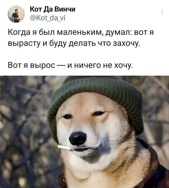 Мем, henh