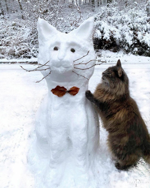 Мем: Не все однако согласны