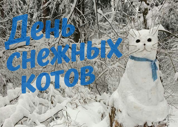 Мем: Сегодня День снежных котов
