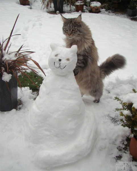 Мем: У нас на районе