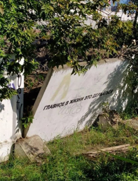 Мем: Юмор на день, Юмористка