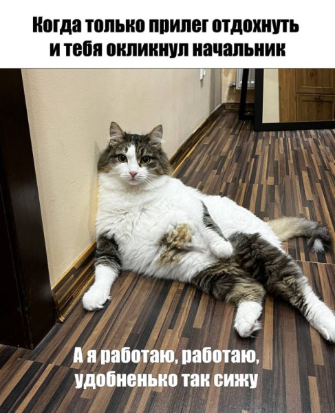 Мем: Юмор на день, Юмористка