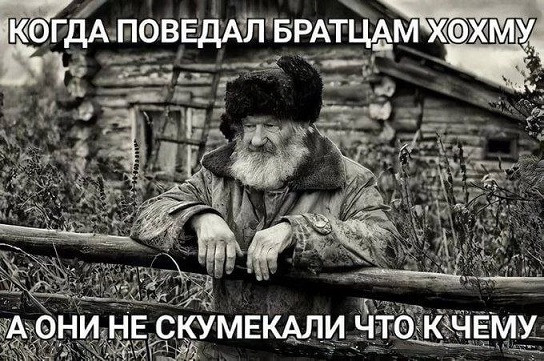 Мем: Юмор на день, Юмористка