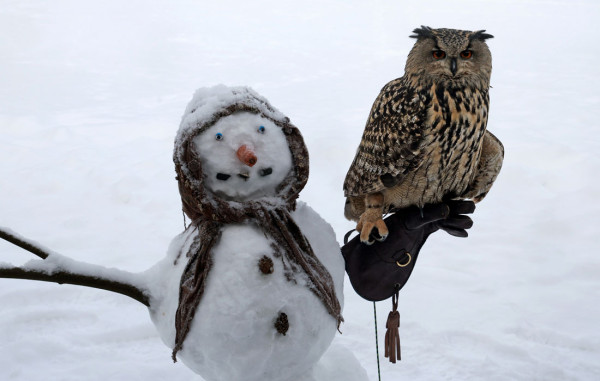 Мем, Тьмуша