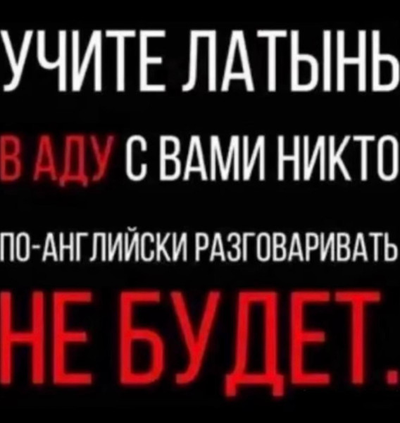 Мем, Максим Камерер