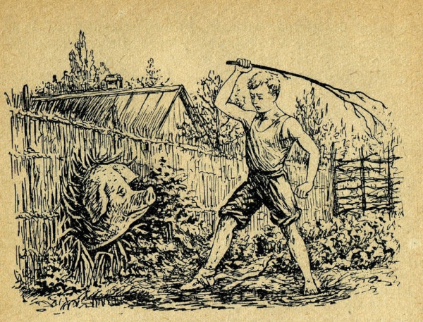 Мем: Хрюша обнаглела.