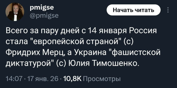 Мем: Два неловких поворота…, Максим Камерер