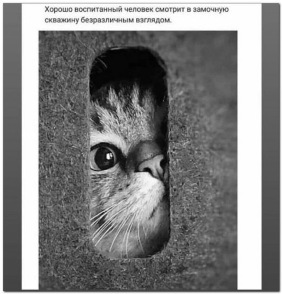 Мем: Микс Юмор, Юмористка