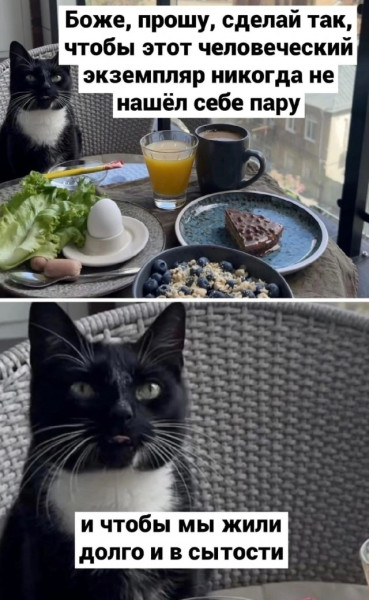 Мем, Смехалка