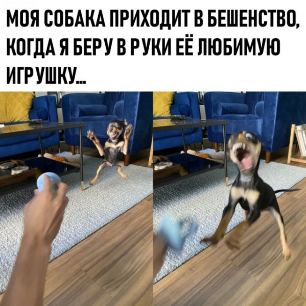 Мем, Смехалка