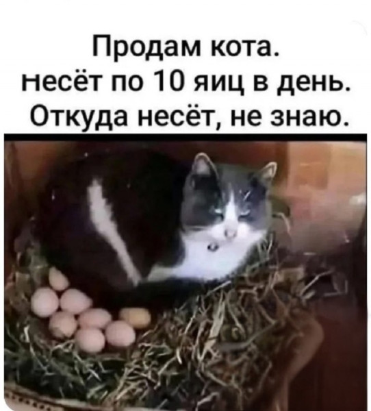 Мем, Смехалка