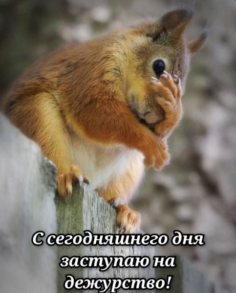 Мем, Смехалка