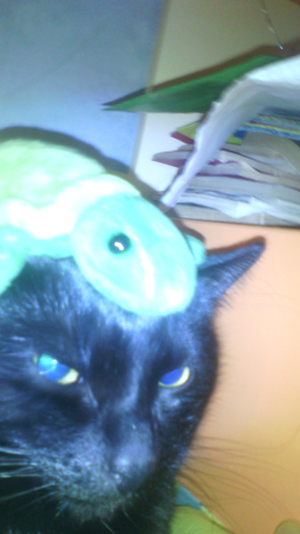 Мем, анегдотик