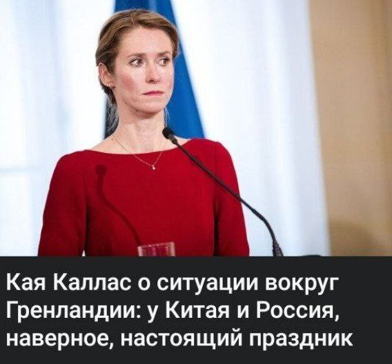 Мем: Кая Каллас – голова!, Юрий Небольсин