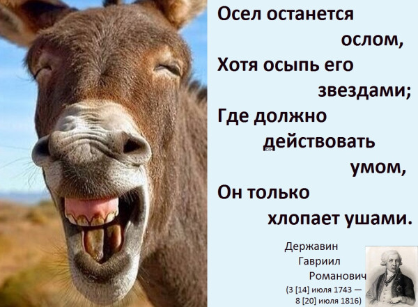 Мем, Александр САН