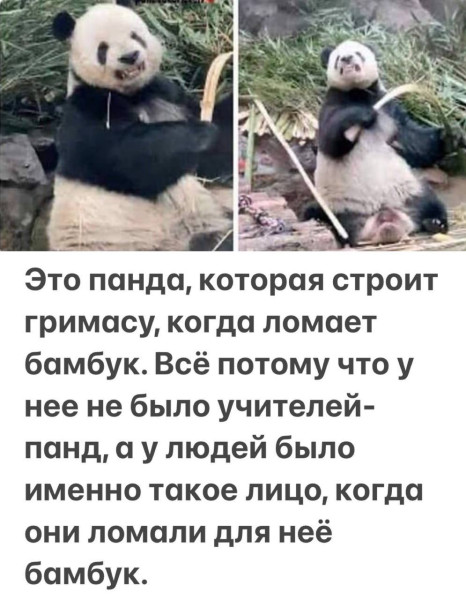 Мем, Ввелник