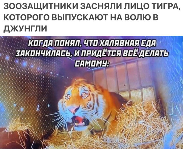 Мем, Смехалка Мем, Смехалка