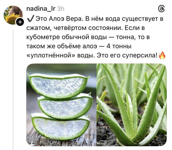 Мем, henh Мем, henh