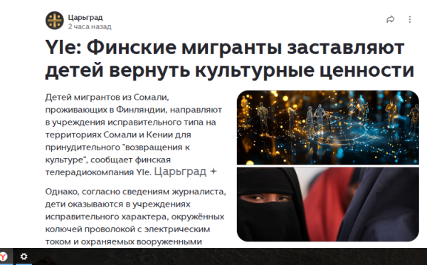 Мем: Культурные ценности - в твёрдой валюте?, Анна Владимировна Красносельская Мем: Культурные ценности - в твёрдой валюте?, Анна Владимировна Красносельская