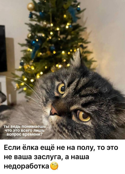 Мем, Смехалка Мем, Смехалка