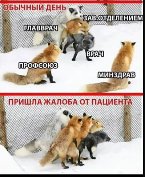 Мем, hop za za Мем, hop za za