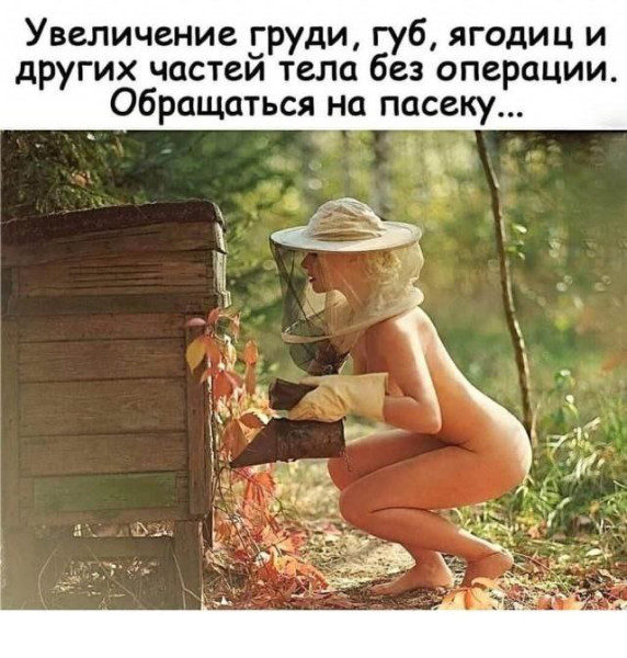 Мем, Ashmedai Мем, Ashmedai