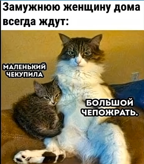 Мем, immar Мем, immar