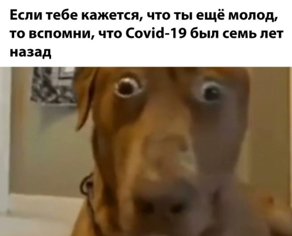 Мем, henh Мем, henh