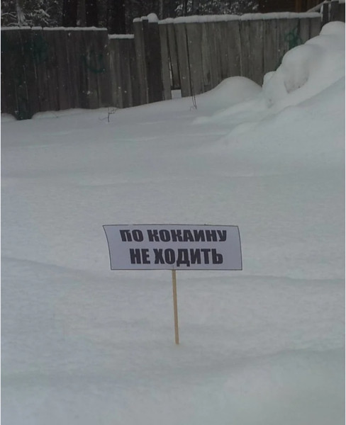 Мем: Где-то в Гренландии, Vovanavsegda Мем: Где-то в Гренландии, Vovanavsegda