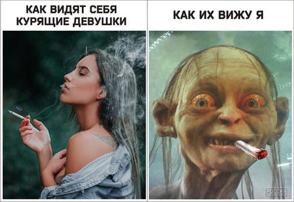 Мем, Алекс Гудков