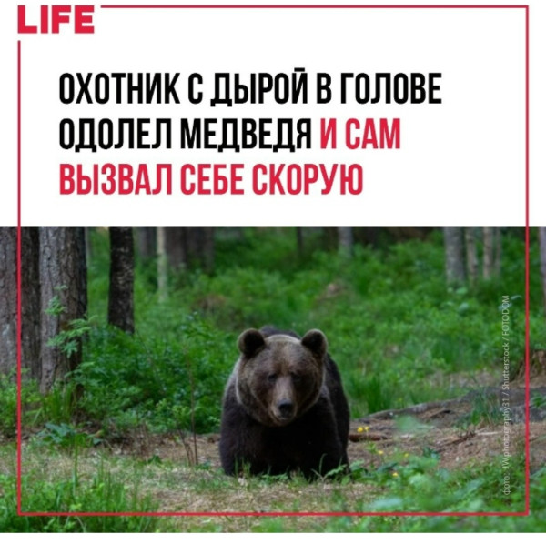 Мем: Охотник с дырой в голове одолел медведя