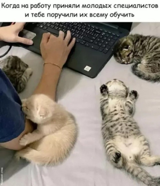 Мем Мем