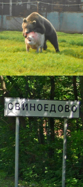 Мем, Mghost Мем, Mghost