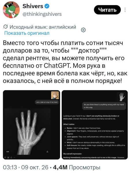 Мем, Bassplayer Мем, Bassplayer