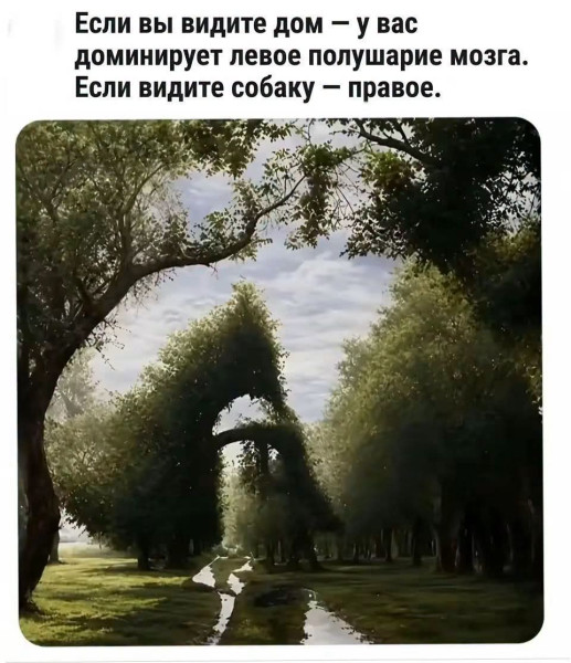 Мем, Jonas Мем, Jonas