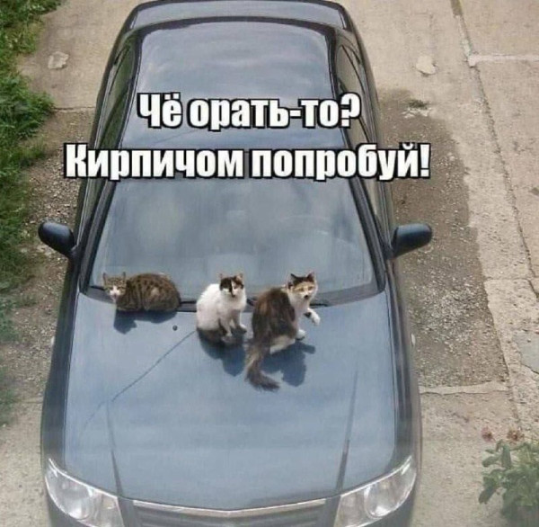 Мем, Jonas