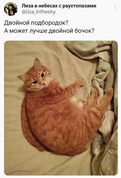 Мем, Bassplayer Мем, Bassplayer