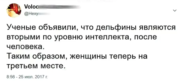 Мем, Mghost Мем, Mghost