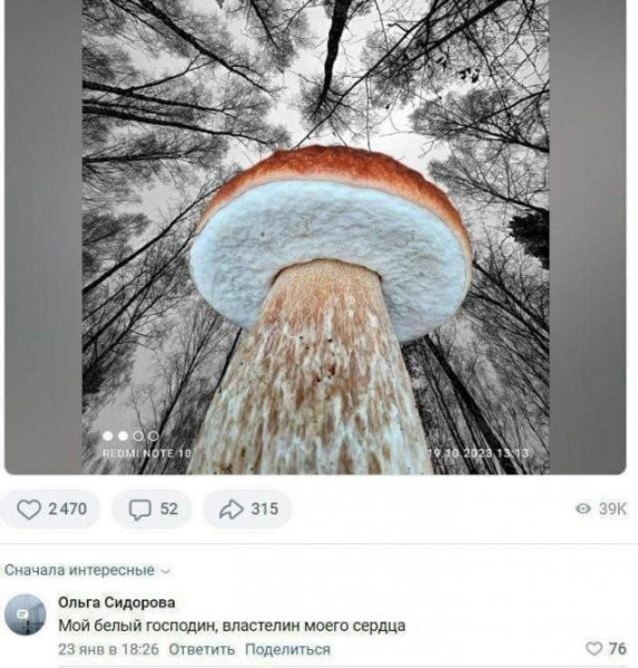 Мем, Bassplayer Мем, Bassplayer