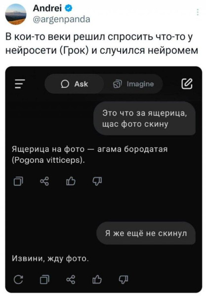 Мем, Bassplayer
