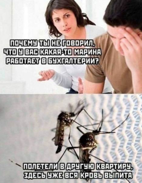 Мем Мем