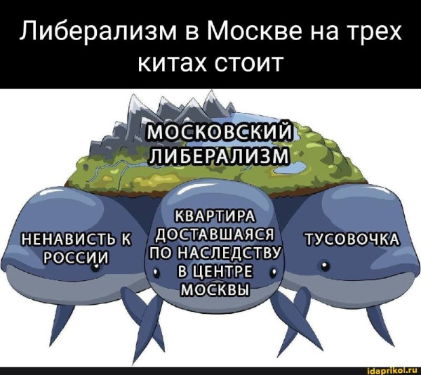 Мем, Diogenes Мем, Diogenes